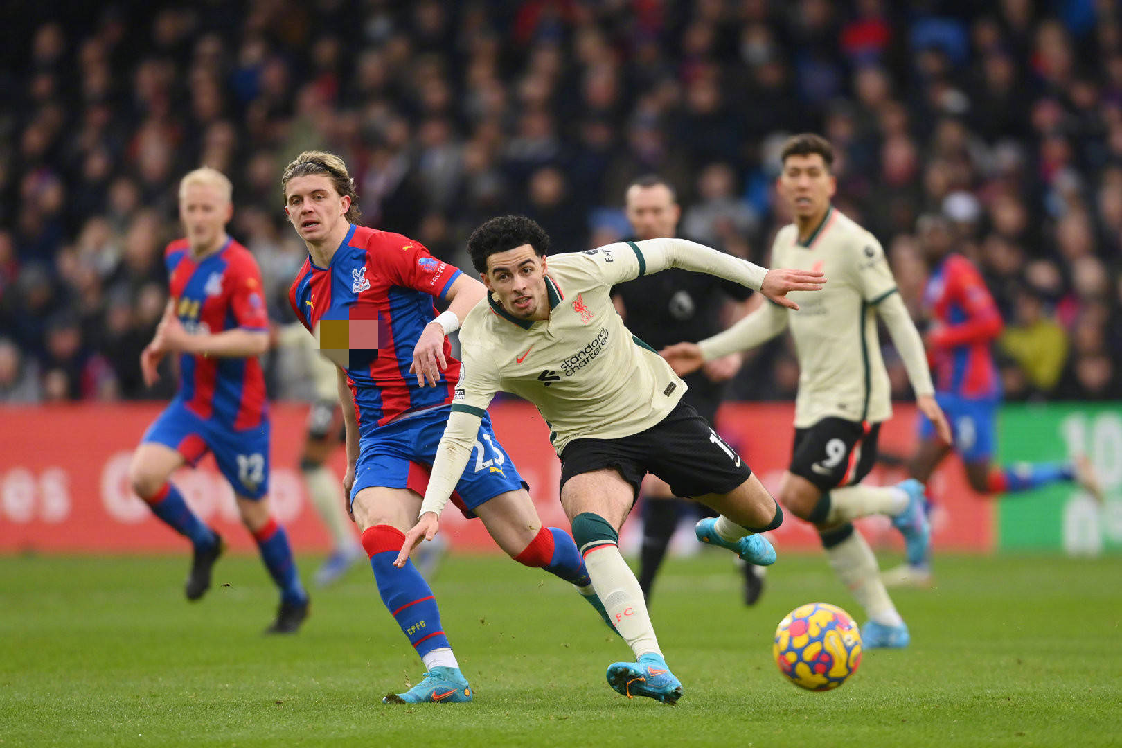 放眼当今N 放眼当今N